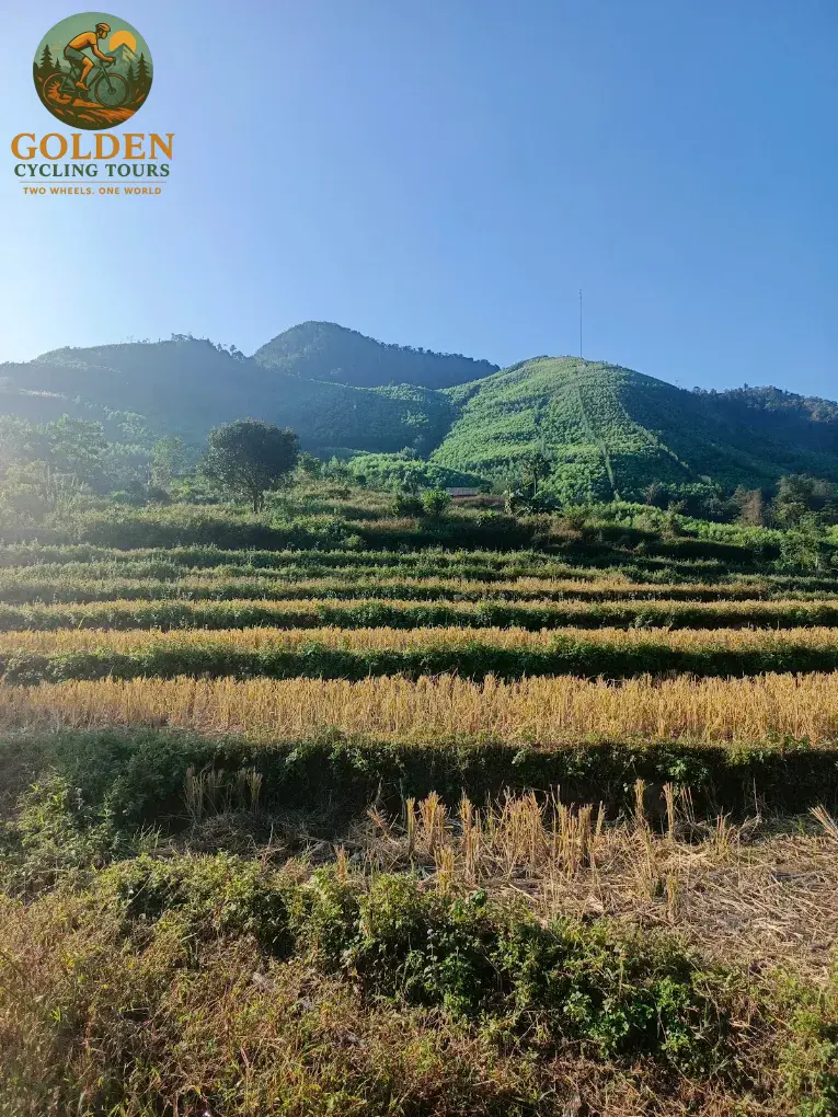 3-Day Thai Nguyen Backroad Cycling Tour: Ban Ten, Tea Hills & Nui Coc